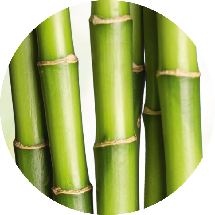 Organic bamboo extract wirkstoff-organic-bamboo-extract.png