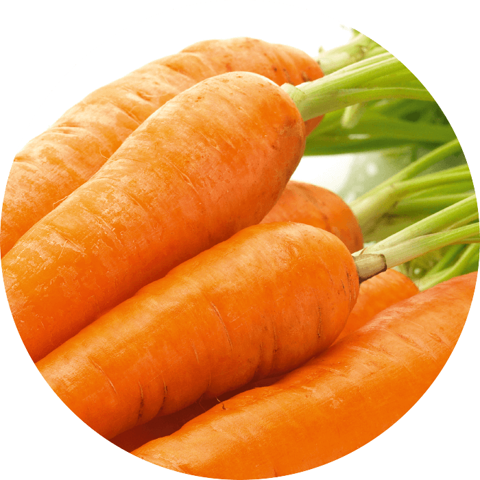 Carrot extract wirkstoff-carrot-extract.png
