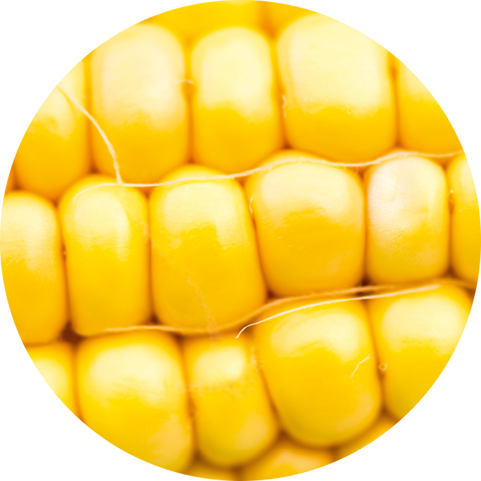 Corn oil wirkstoff-corn-oil.png